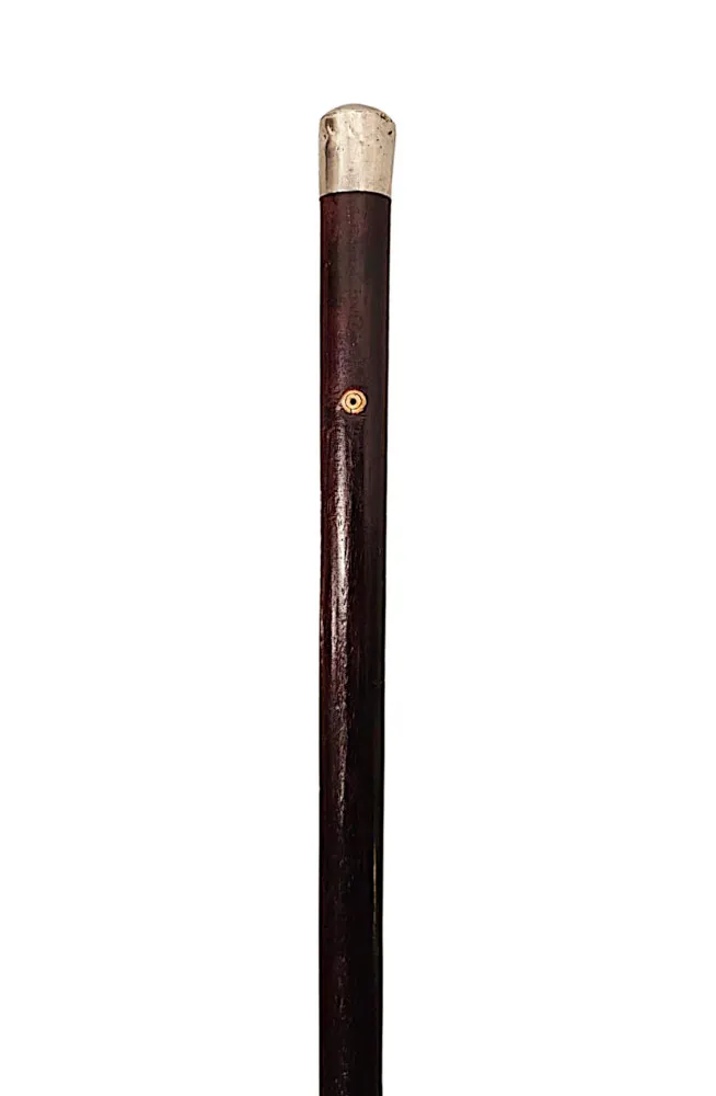 A Very Rare 19th Century Silver Topped 'Cathedral Peep' Walking Cane