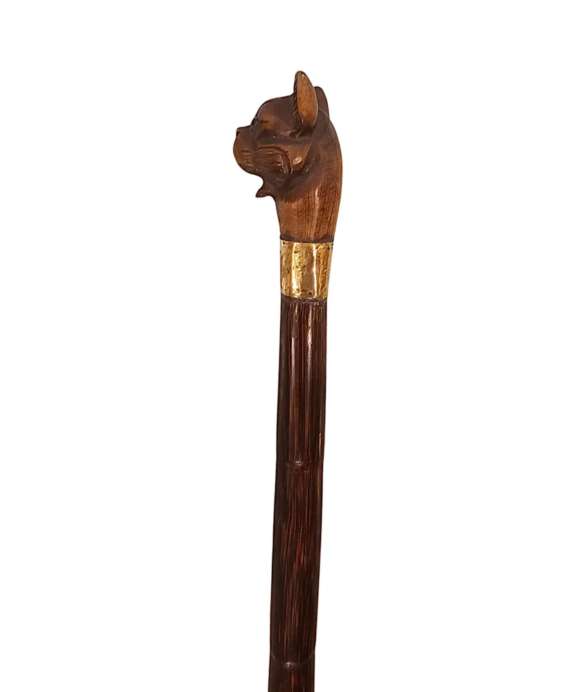A Very Rare 19th Century Walking Cane with a Dogs Head Handle and Gold Mounted Collar