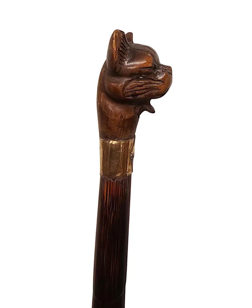 A Very Rare 19th Century Walking Cane with a Dogs Head Handle and Gold Mounted Collar