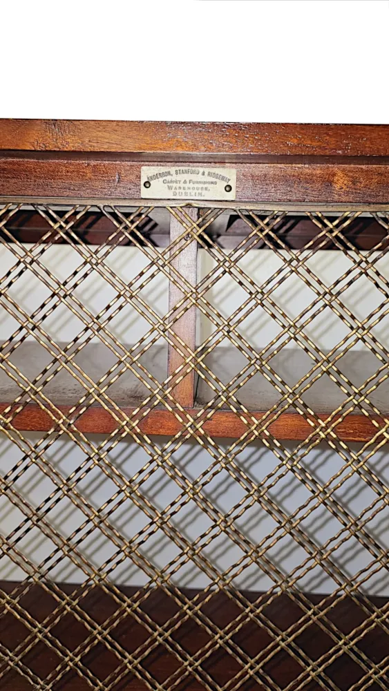 A Fabulous 19th Century Irish Open Bookcase