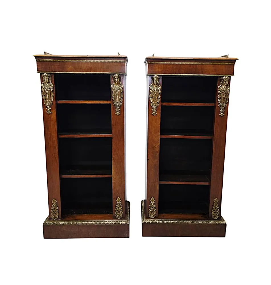 A Very Rare Pair of 19th Century Bookcases with Ormolu Mounts