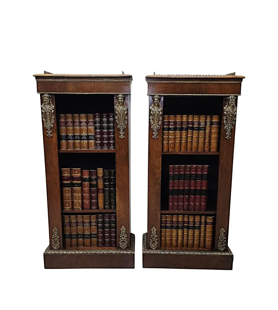 A Very Rare Pair of 19th Century Bookcases with Ormolu Mounts