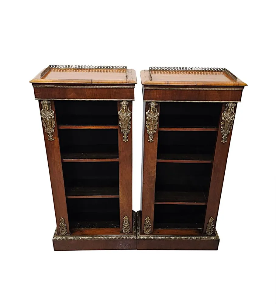 A Very Rare Pair of 19th Century Bookcases with Ormolu Mounts