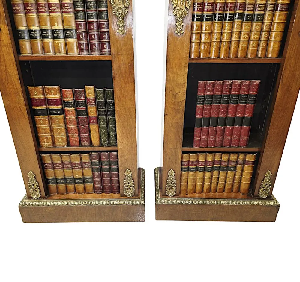 A Very Rare Pair of 19th Century Bookcases with Ormolu Mounts