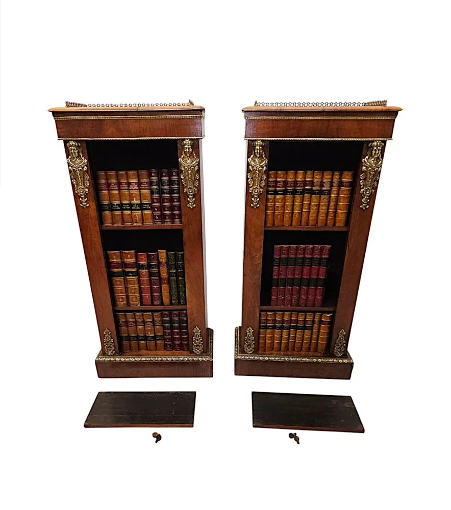 A Very Rare Pair of 19th Century Bookcases with Ormolu Mounts