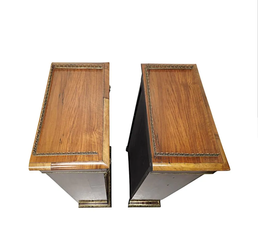 A Very Rare Pair of 19th Century Bookcases with Ormolu Mounts