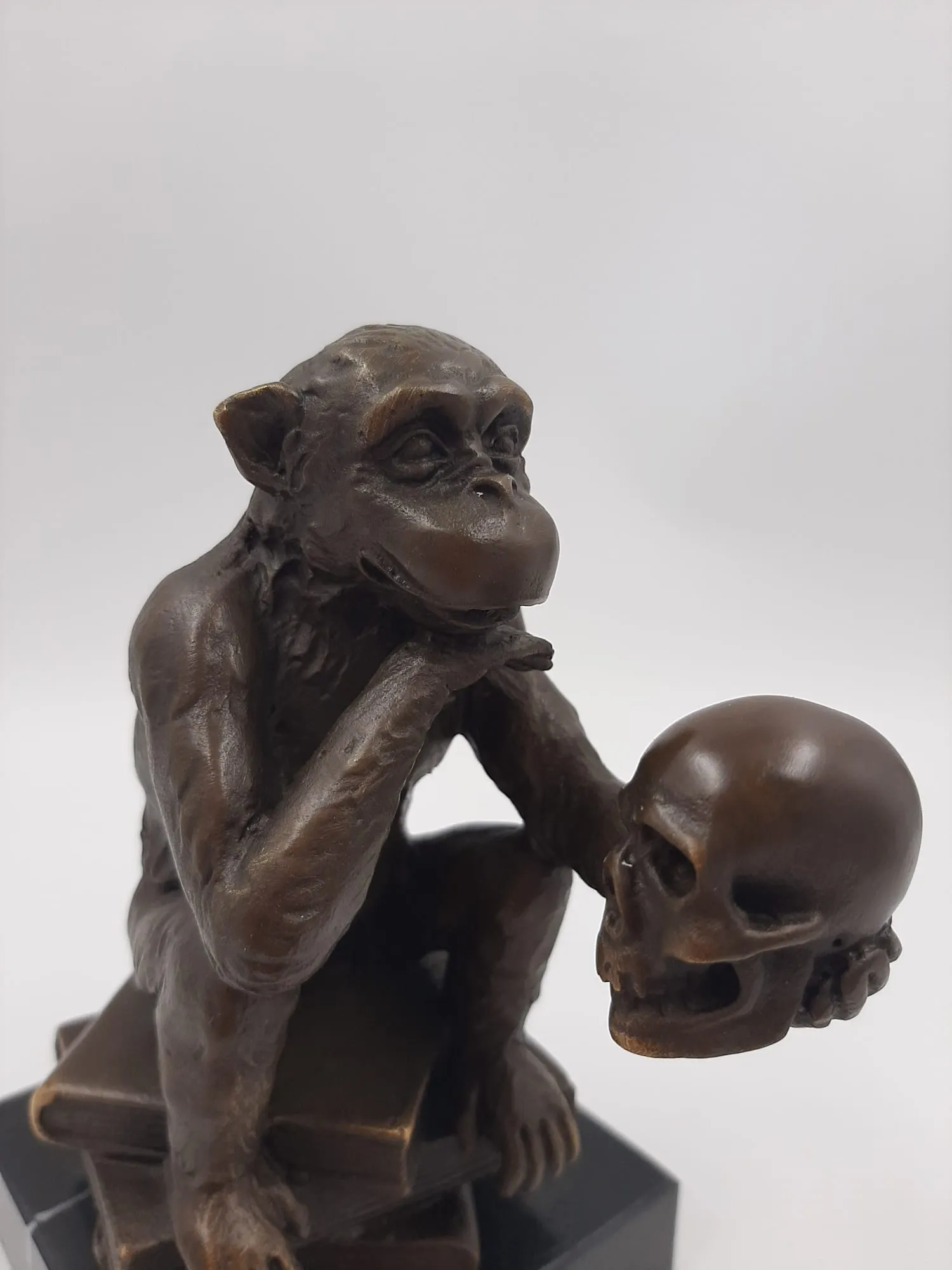 Modern Bronze Sculpture of Darwin Monkey